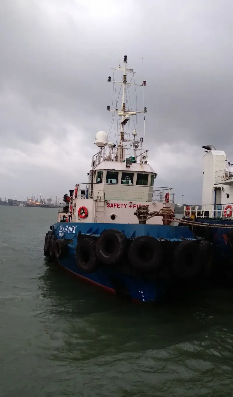 WESTSEA HAWK General Cargo IMO 9492658 photo 2
