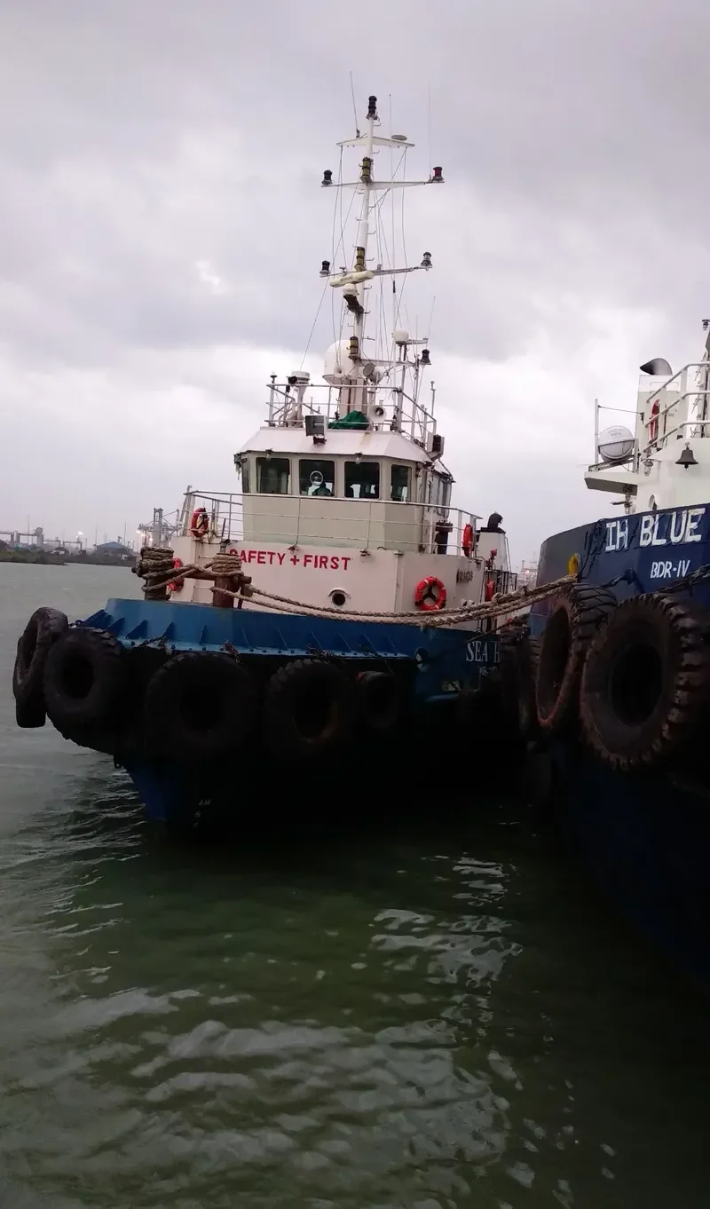 WESTSEA HAWK General Cargo IMO 9492658 photo 3