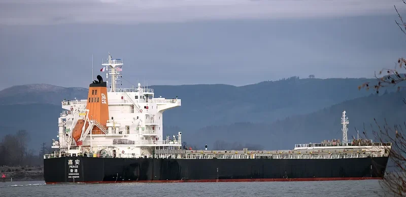 PEACE Bulk Carrier IMO 9492725 photo 3