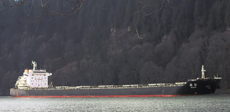 PEACE Bulk Carrier IMO 9492725 photo 6