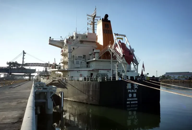 PEACE Bulk Carrier IMO 9492725 photo 8