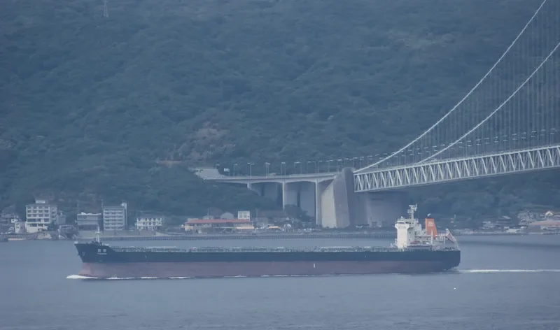 HARMONY Bulk Carrier IMO 9492737 photo 2