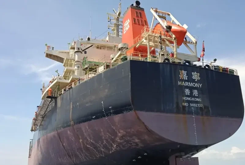 HARMONY Bulk Carrier IMO 9492737 photo 3