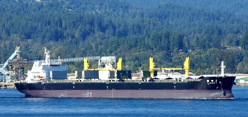 LI DIAN 2 Bulk Carrier IMO 9492775
