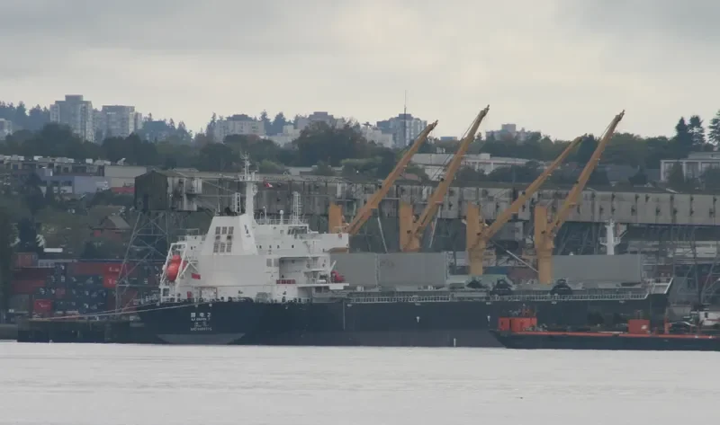 LI DIAN 2 Bulk Carrier IMO 9492775 photo 4