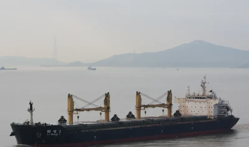 LI DIAN 3 Bulk Carrier IMO 9492787