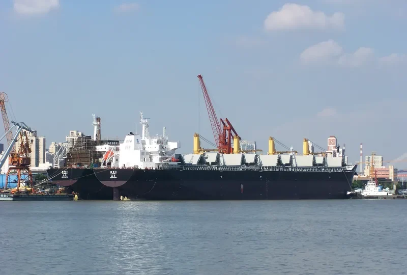 LI DIAN 3 Bulk Carrier IMO 9492787 photo 5