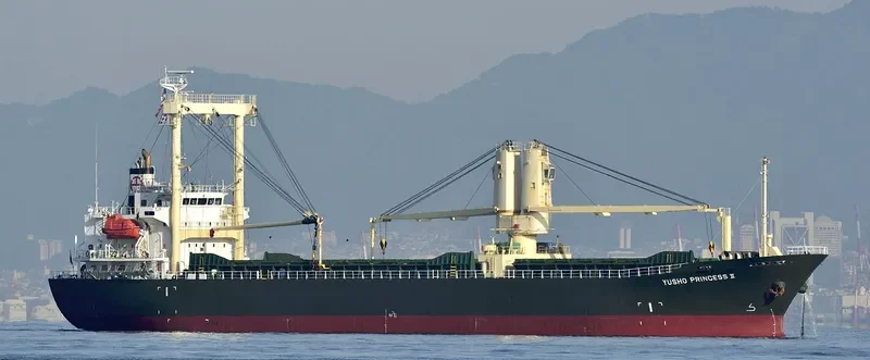 WOOYANG PRINCESS General Cargo IMO 9492866 photo 2
