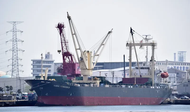 WOOYANG PRINCESS General Cargo IMO 9492866 photo 5