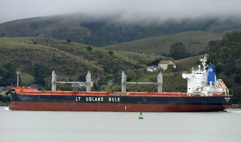 PMS EDELWEISS Bulk Carrier IMO 9492907