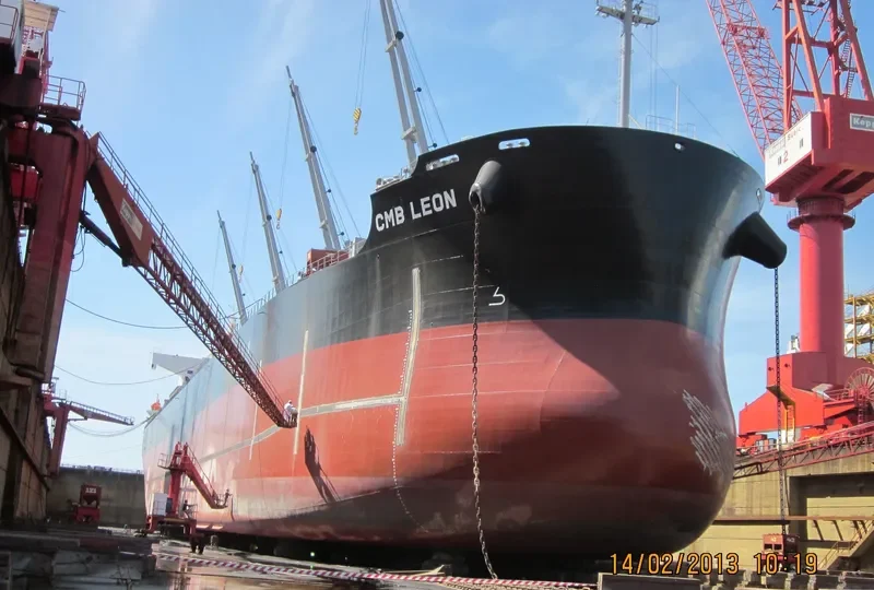 PMS EDELWEISS Bulk Carrier IMO 9492907 photo 5