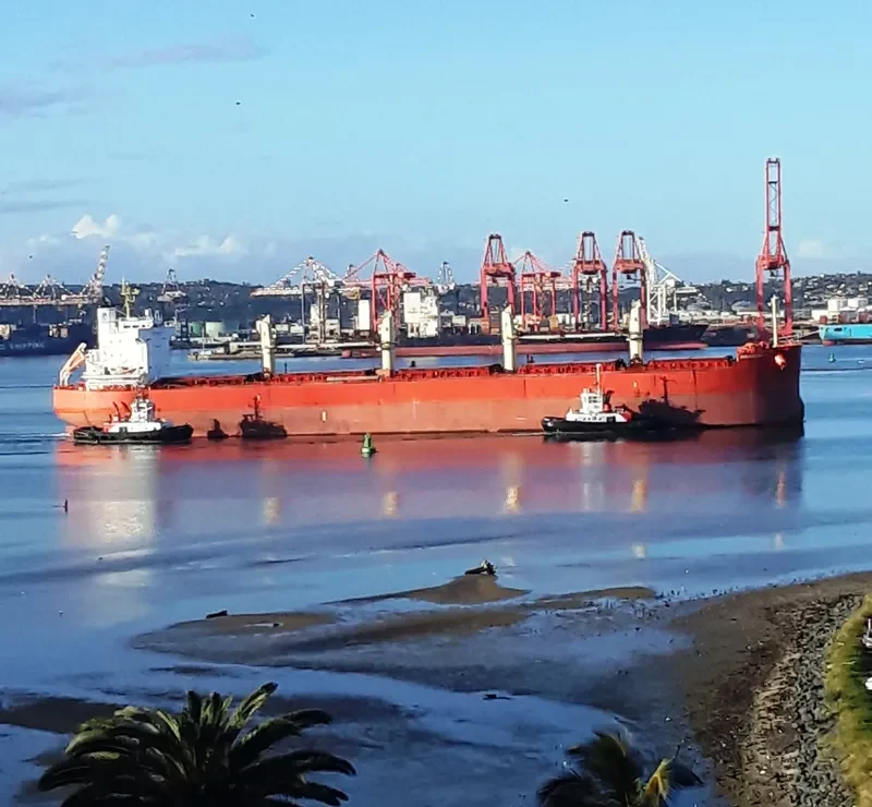 PMS EDELWEISS Bulk Carrier IMO 9492907 photo 9