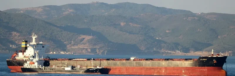 ALONA Bulk Carrier IMO 9493016