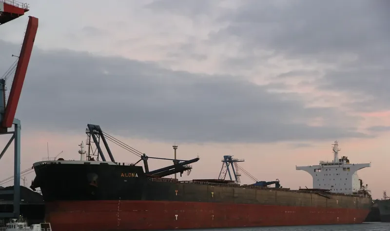 ALONA Bulk Carrier IMO 9493016 photo 4
