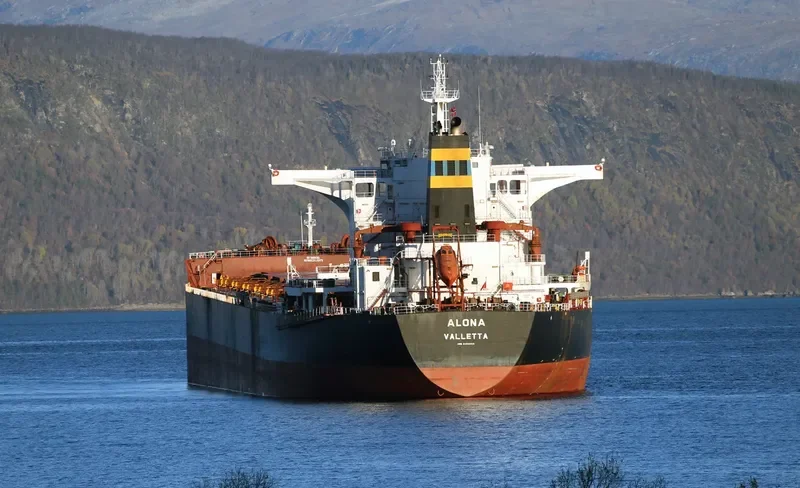 ALONA Bulk Carrier IMO 9493016 photo 5