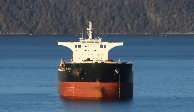 ALONA Bulk Carrier IMO 9493016 photo 6