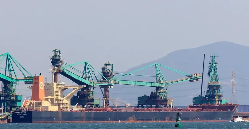 HL TUBARAO Bulk Carrier IMO 9493054