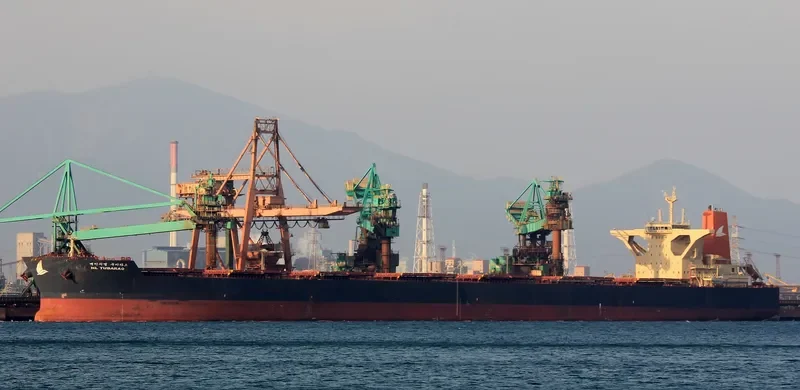 HL TUBARAO Bulk Carrier IMO 9493054 photo 2