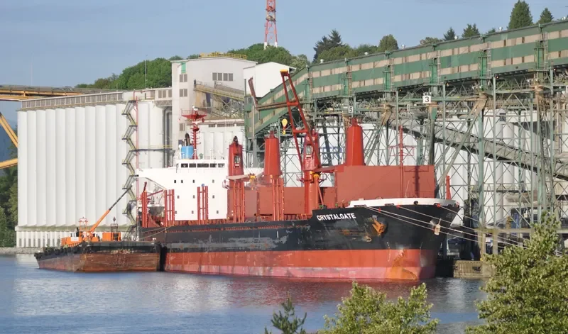 DMC NEPTUNE Bulk Carrier IMO 9493200 photo 4