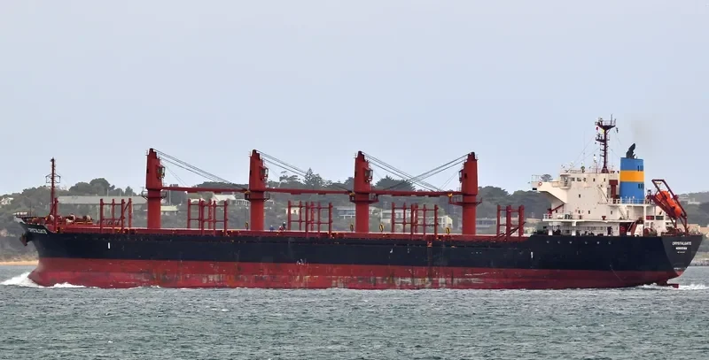 DMC NEPTUNE Bulk Carrier IMO 9493200 photo 6