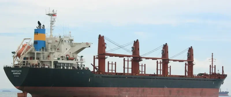 AMIRA SOPHIE Bulk Carrier IMO 9493224 photo 2