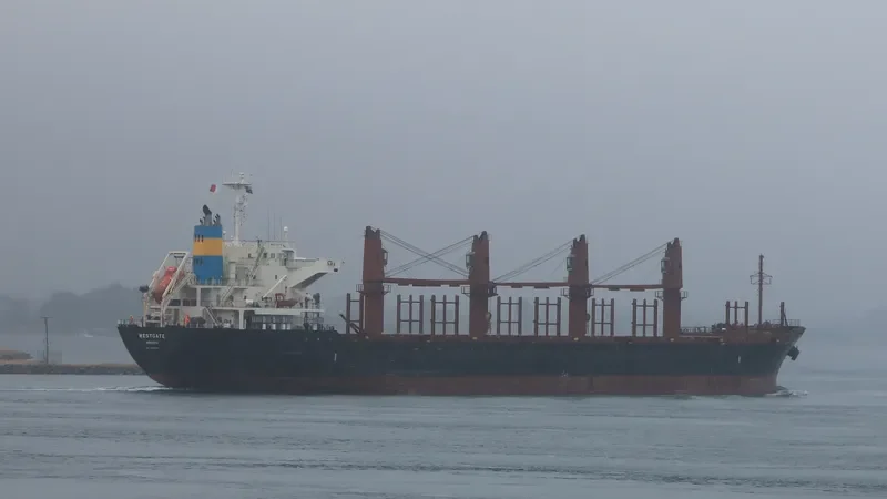 AMIRA SOPHIE Bulk Carrier IMO 9493224 photo 4