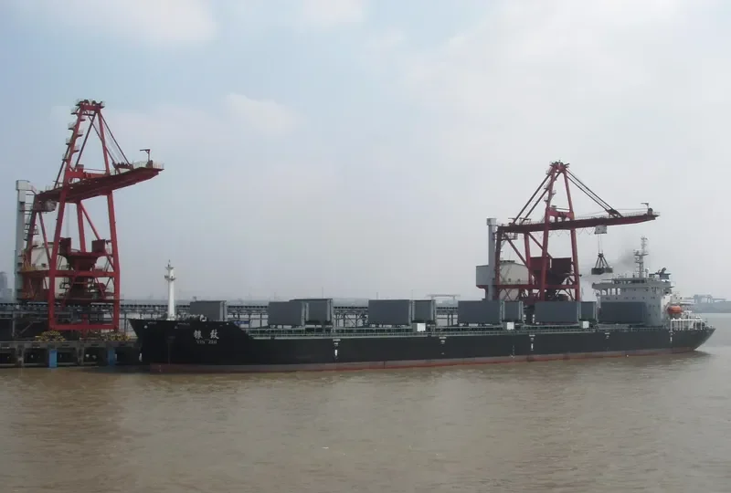 YIN ZHI Bulk Carrier IMO 9493418