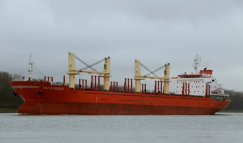 RUI YI 8 Bulk Carrier IMO 9493494 photo 2