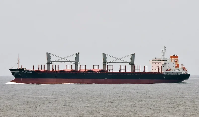 RUI YI 8 Bulk Carrier IMO 9493494 photo 4