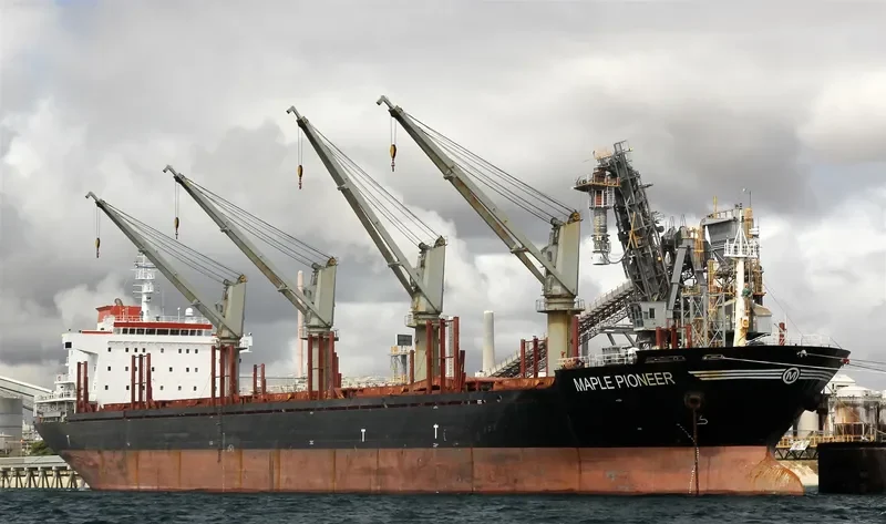 RUI YI 8 Bulk Carrier IMO 9493494 photo 5