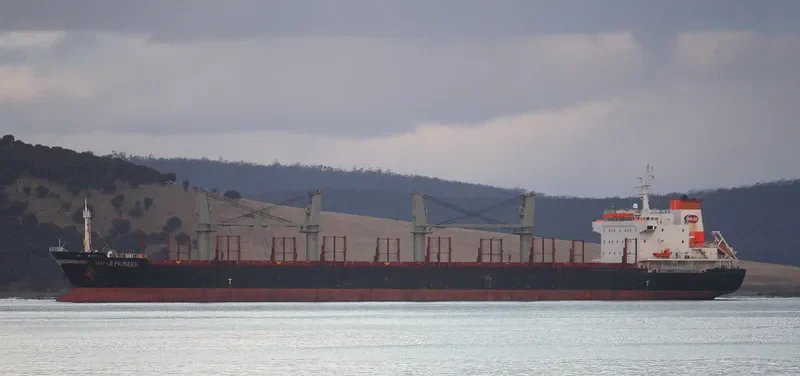 RUI YI 8 Bulk Carrier IMO 9493494 photo 7