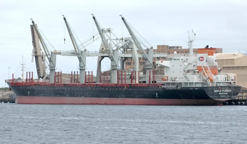 RUI YI 8 Bulk Carrier IMO 9493494 photo 10