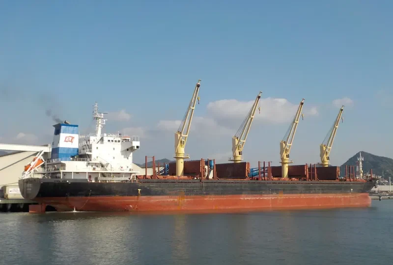GREENTEC Bulk Carrier IMO 9493509 photo 4