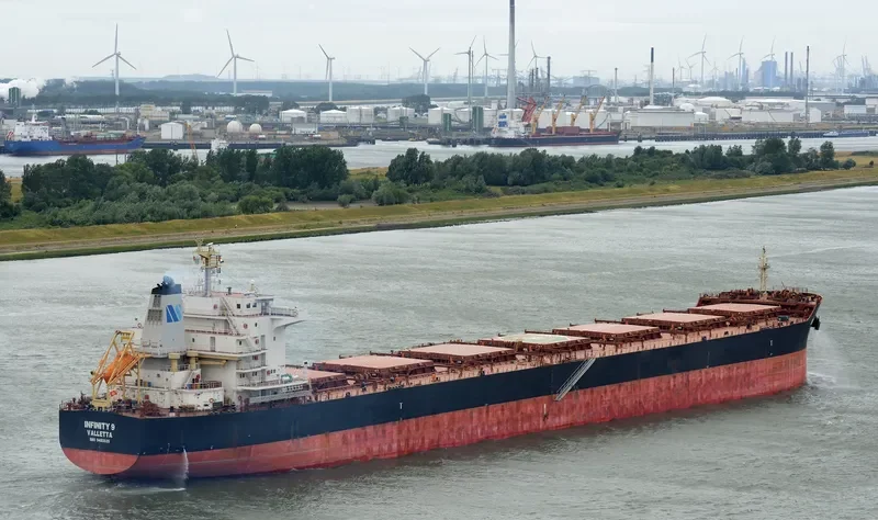 ISMENE Bulk Carrier IMO 9493535 photo 3