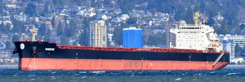 ISMENE Bulk Carrier IMO 9493535 photo 8