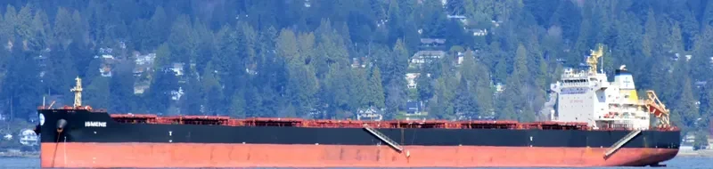 ISMENE Bulk Carrier IMO 9493535 photo 10