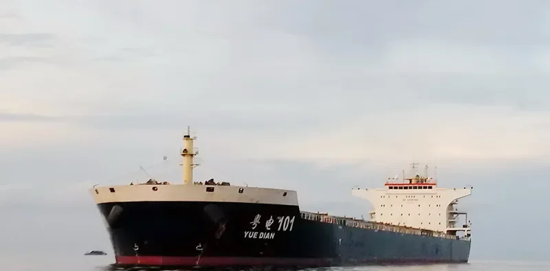 YUE DIAN 101 Bulk Carrier IMO 9493597