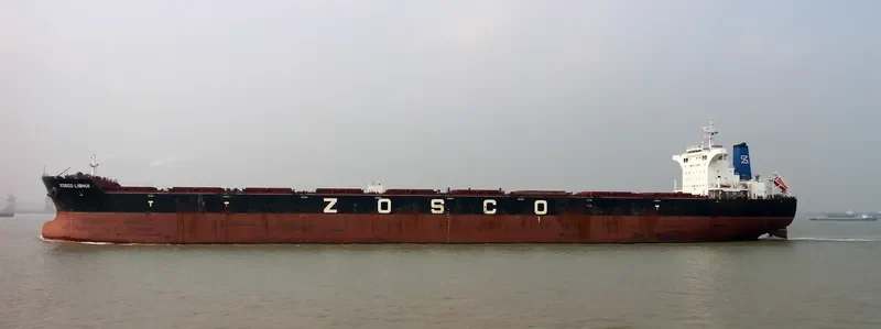 ESL SEALION Bulk Carrier IMO 9493614