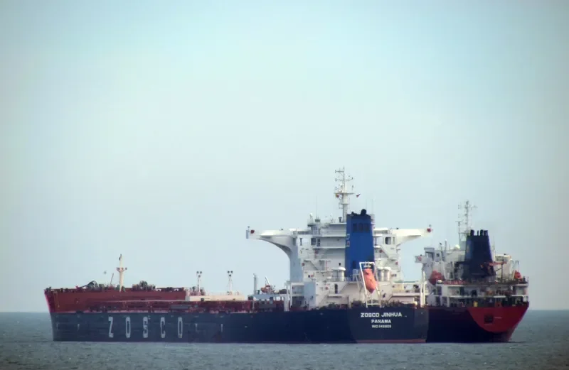ESL WALRUS Bulk Carrier IMO 9493626