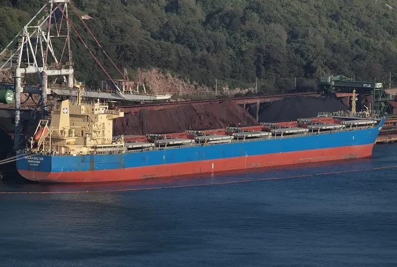 OCEAN DALIAN Bulk Carrier IMO 9493640 photo 2