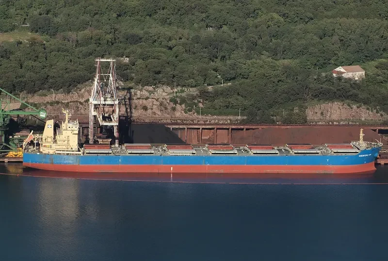 OCEAN DALIAN Bulk Carrier IMO 9493640 photo 3