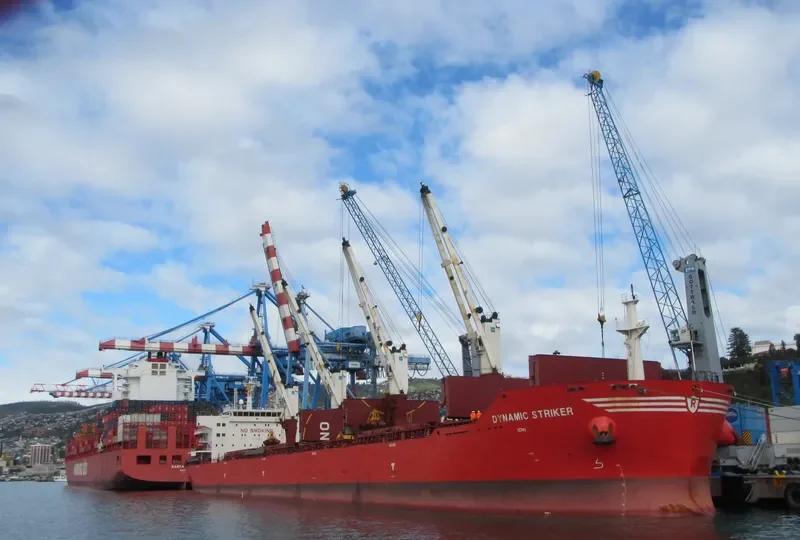 DYNAMIC STRIKER Bulk Carrier IMO 9493652