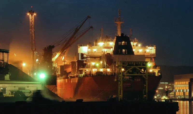 DYNAMIC STRIKER Bulk Carrier IMO 9493652 photo 3