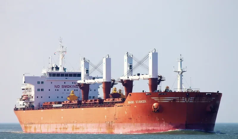 MAGIC STRIKER Bulk Carrier IMO 9493664 photo 4