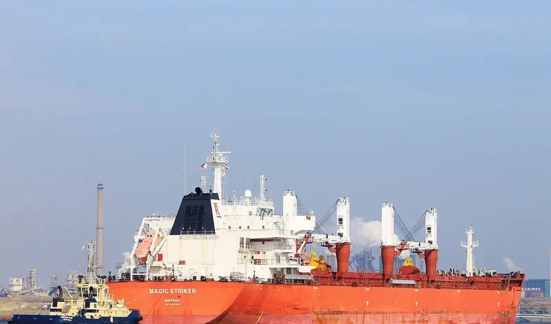 MAGIC STRIKER Bulk Carrier IMO 9493664 photo 6