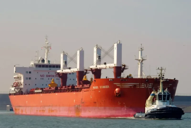 MAGIC STRIKER Bulk Carrier IMO 9493664 photo 8