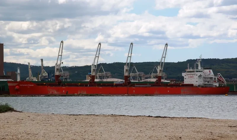 VIRTUOUS STRIKER Bulk Carrier IMO 9493690 photo 3