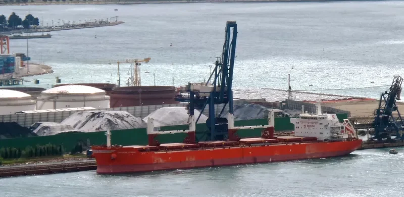VIRTUOUS STRIKER Bulk Carrier IMO 9493690 photo 4