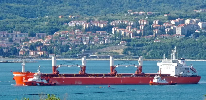 VIRTUOUS STRIKER Bulk Carrier IMO 9493690 photo 7