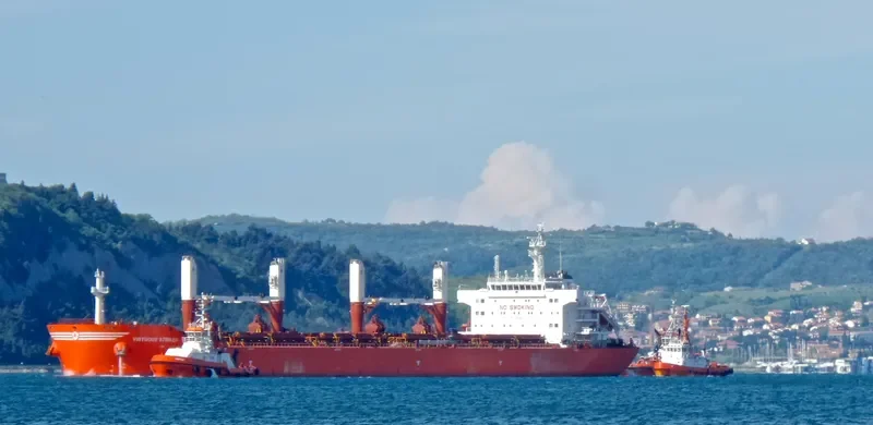 VIRTUOUS STRIKER Bulk Carrier IMO 9493690 photo 8